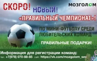 Турнир по мини-футболу от магазина «Мозголом»