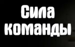 Мастер-класс «Сила команды» в отеле «Оптима»