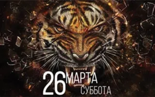 Вечеринка «Party animal»