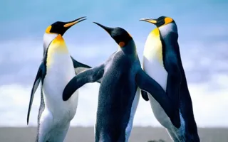 nnnnnnn