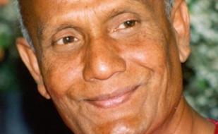 Презентация выставки и концерт. Репродукции картин Шри-Чинмоя "Джарна Кала" Фонтан искусства